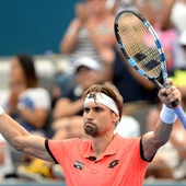 David Ferrer celebra su victoria David Ferrer celebra su victoria