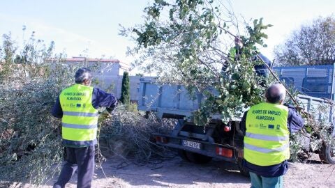 TRABAJADORES ALMASSORA 