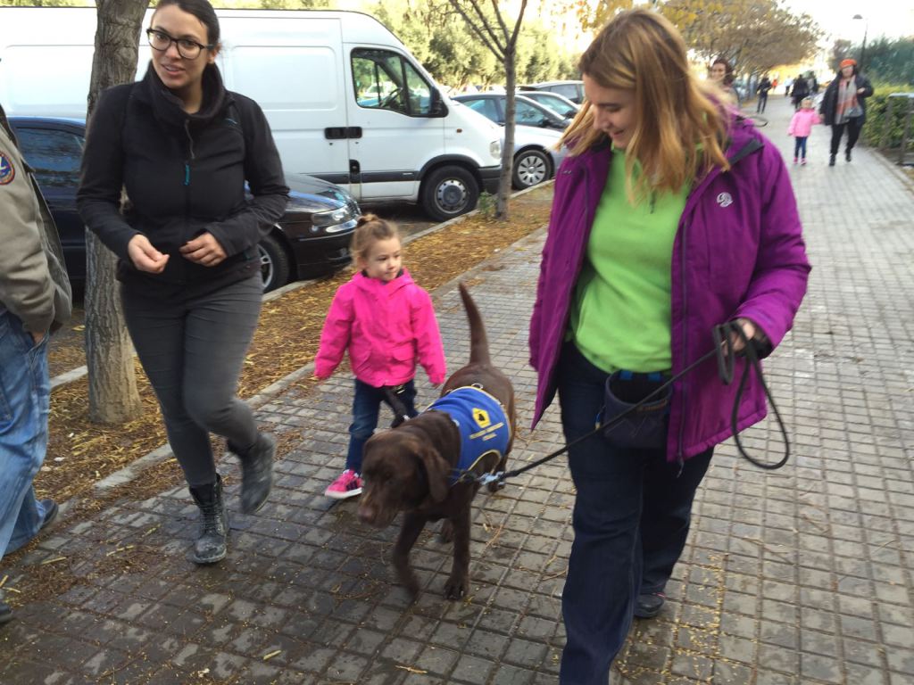 Gipuzkoa en la onda 12/01/2017 Gipuzkoa en la onda 12/01/2017