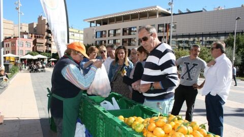 MERCAT TARONJA ALMASSORA