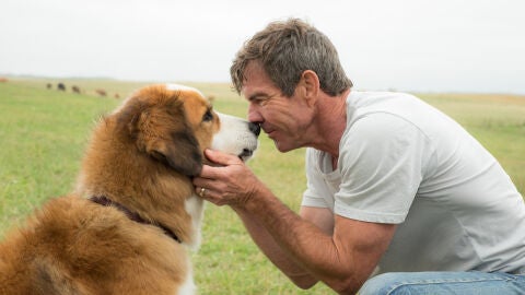  A dog&rsquo;s purpose, con Dennis Quaid 