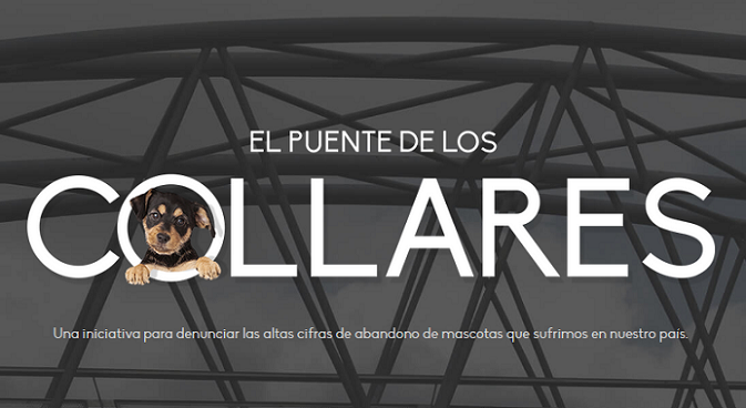 800 collares en un puente de Rivas Vaciamadrid contra el abandono 800 collares en un puente de Rivas Vaciamadrid contra el abandono