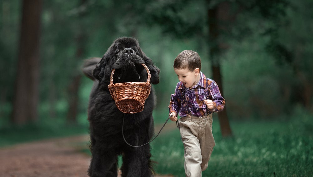 Imagen de la sería fotográfica 'Niños pequeños y sus perros grandes'