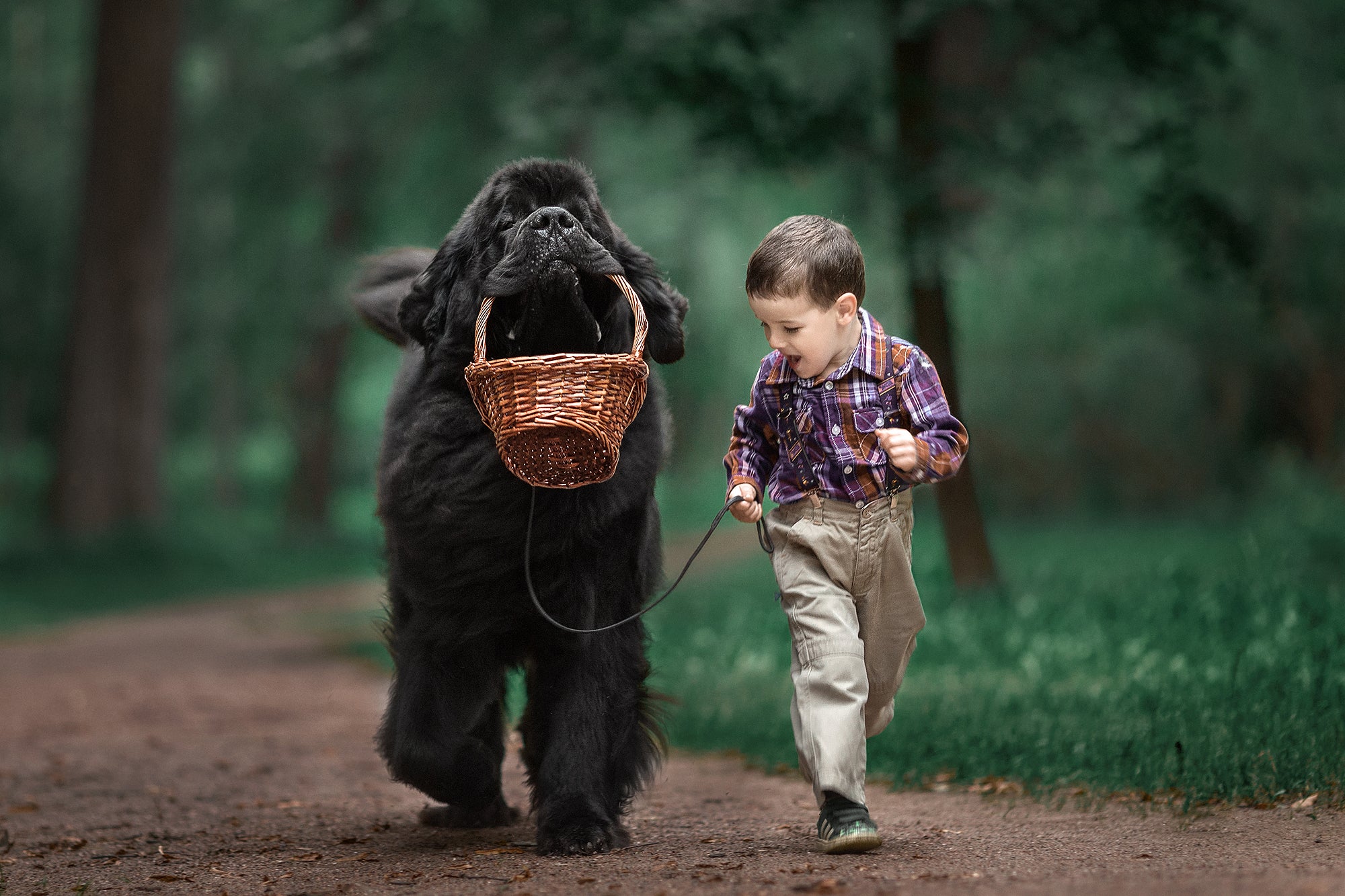 Los perros de compañía ayudan a los niños a reducir su estrés Los perros de compañía ayudan a los niños a reducir su estrés