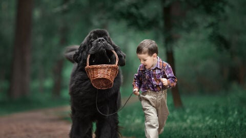 Imagen de la ser&iacute;a fotogr&aacute;fica 'Ni&ntilde;os peque&ntilde;os y sus perros grandes'