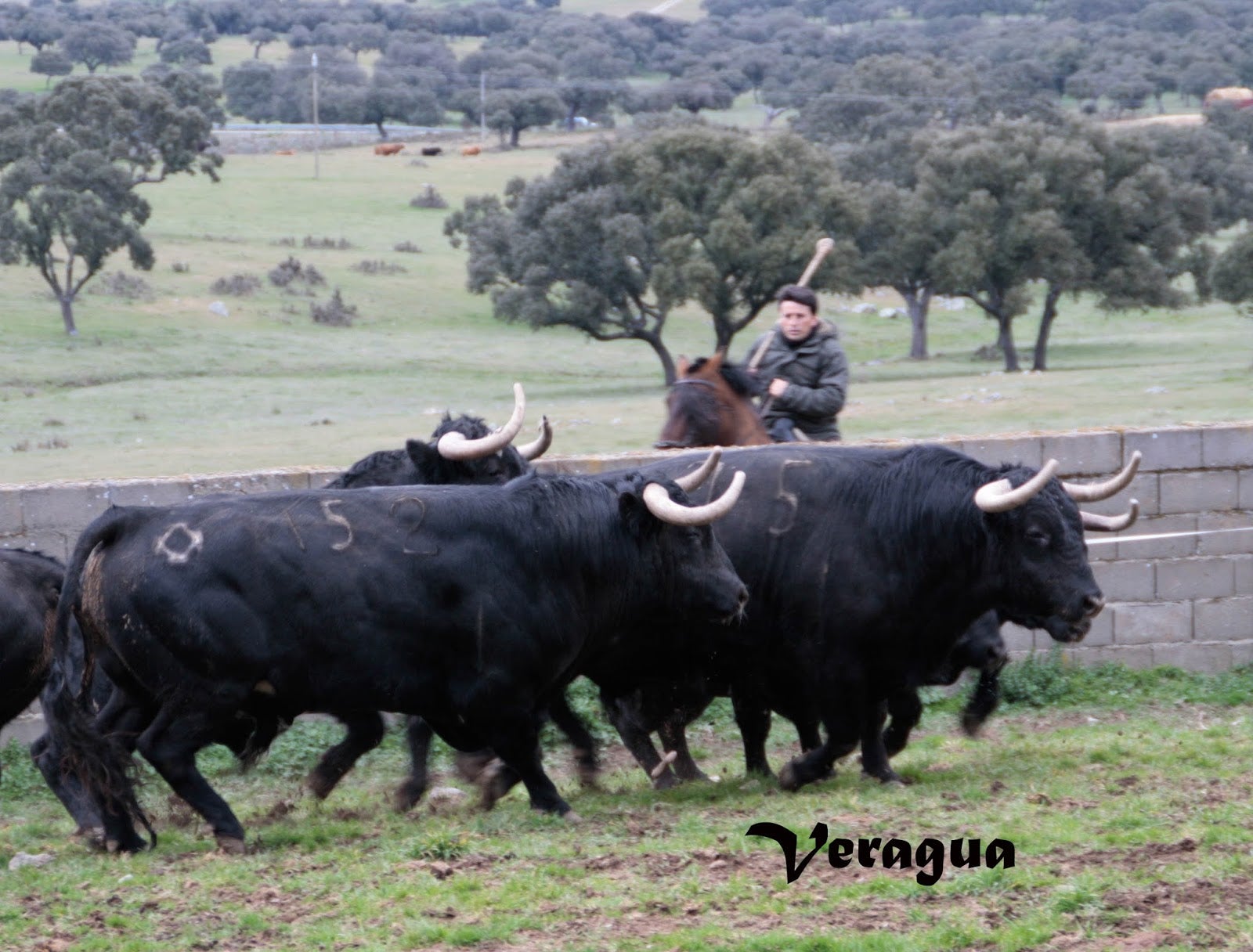 Aquí en la onda Navarra. Va por ustedes. 19/01/2017 Aquí en la onda Navarra. Va por ustedes. 19/01/2017