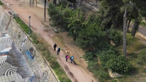 Perros paseando por la calle