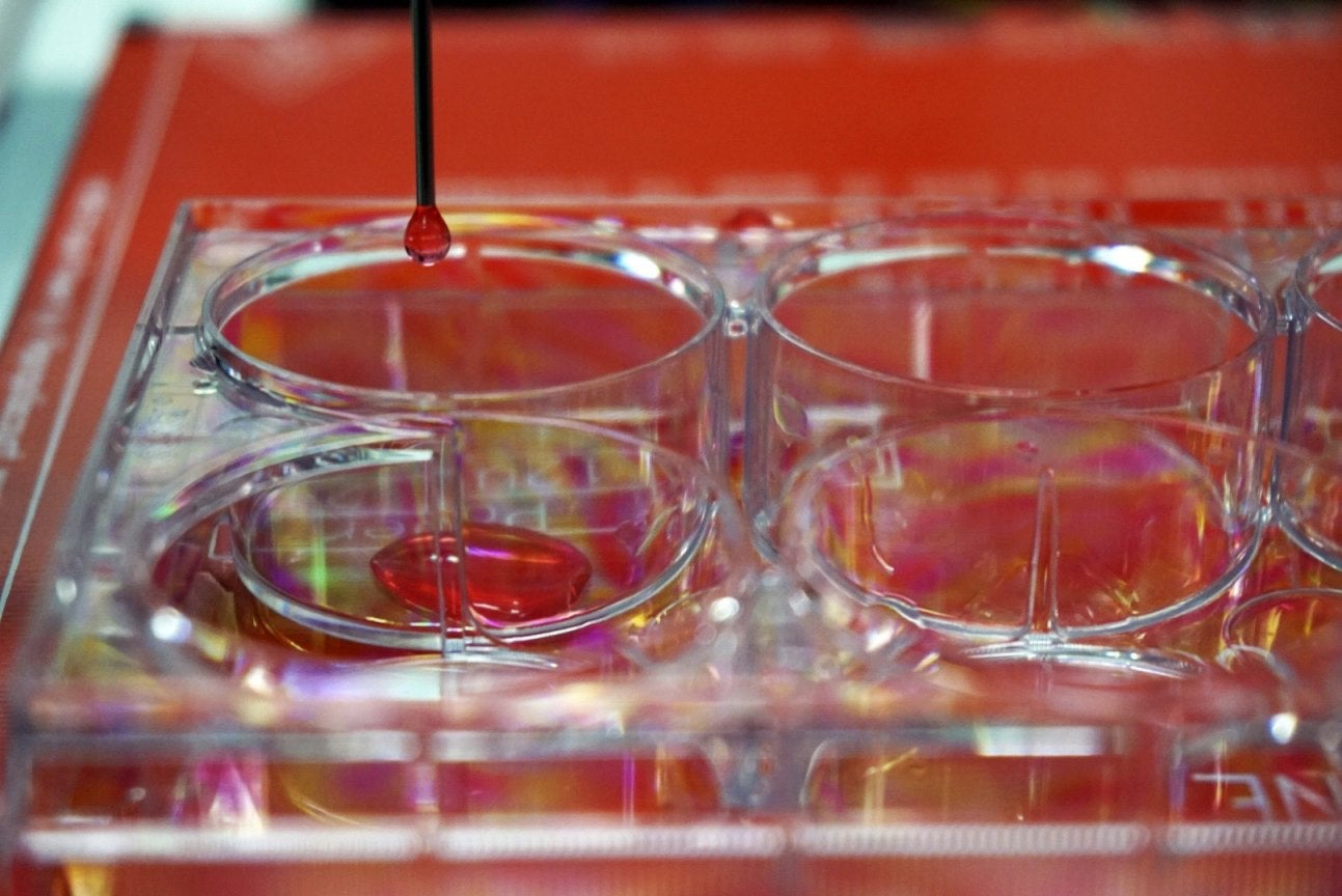 El profesor, José Luis Jorcano: "La impresora 3D creara piel para testeos de productos farmacéuticos y cosméticos" El profesor, José Luis Jorcano: "La impresora 3D creara piel para testeos de productos farmacéuticos y cosméticos"