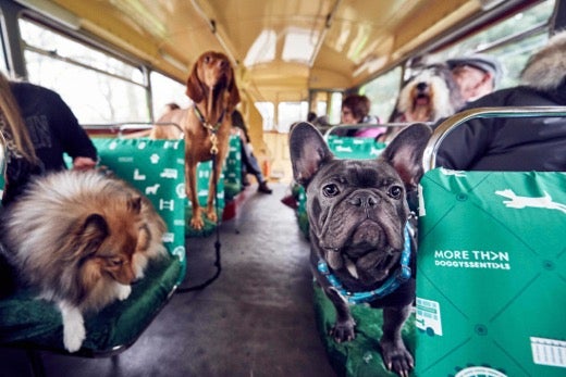 Ciudadanos propone que se pueda viajar con perros en los autobuses urbanos de Asturias Ciudadanos propone que se pueda viajar con perros en los autobuses urbanos de Asturias