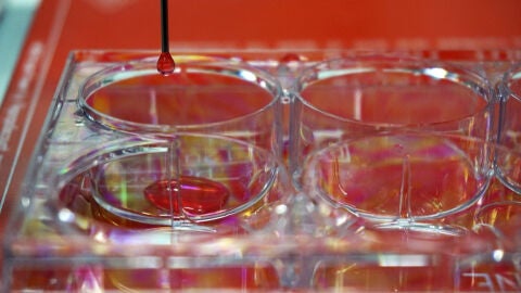 Bioimpresora 3D destinada a crear piel humana "totalmente funcional"