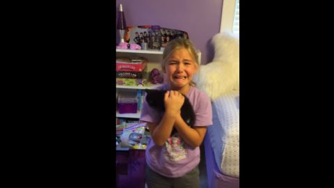 La reacci&oacute;n de Marley al conocer a su nueva gatita