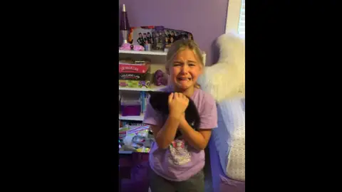 La reacción de Marley al conocer a su nueva gatita La reacción de Marley al conocer a su nueva gatita
