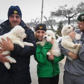 Miembros del equipo de rescate muestran tres cachorros de perro rescatados de entre las ruinas del hotel Rigopiano
