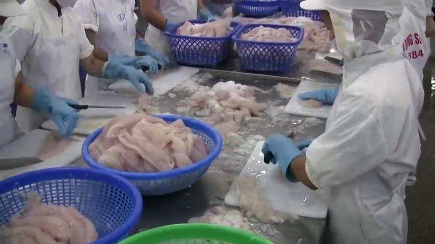 Sanidad afirma que no hay ninguna alerta sanitaria o alimentaria en relación al panga Sanidad afirma que no hay ninguna alerta sanitaria o alimentaria en relación al panga