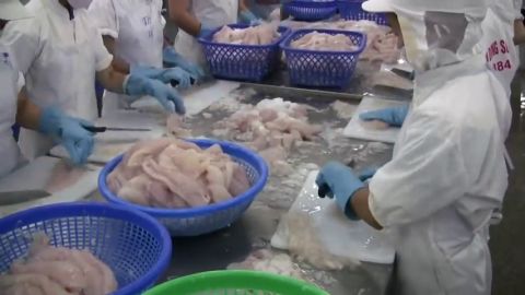 Frame 71.348557 de: Sanidad afirma que no hay ninguna alerta ni sanitaria ni alimentaria en relaci&oacute;n al panga