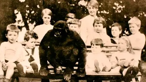 John Daniel, el gorila que creció en un pueblo de Inglaterra como si fuera un niño John Daniel, el gorila que creció en un pueblo de Inglaterra como si fuera un niño