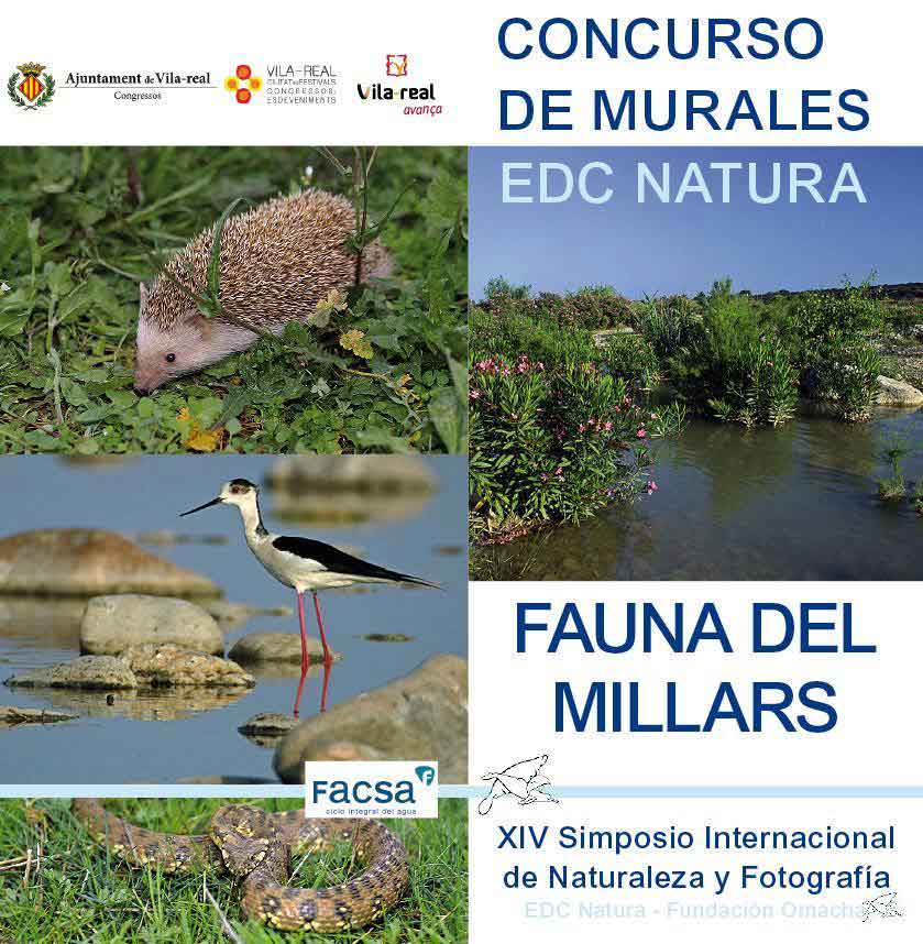 EDC Natura-Fundación Omacha organiza el II Concurso de Murales sobre la fauna del río Mijares EDC Natura-Fundación Omacha organiza el II Concurso de Murales sobre la fauna del río Mijares