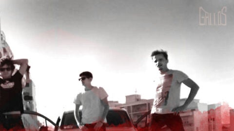Banda Gallos