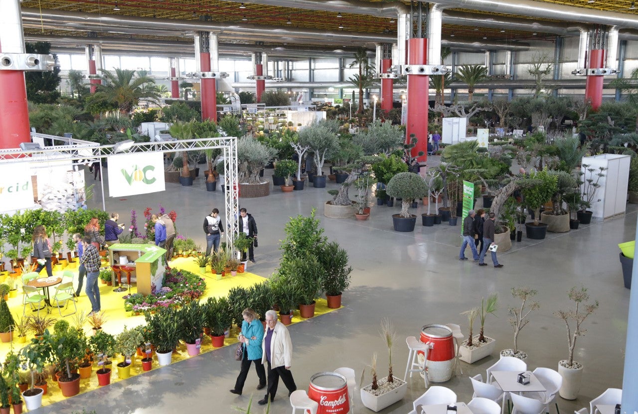 IFA cierra la edición más internacional de Viveralia con alrededor de 5.000 visitantes IFA cierra la edición más internacional de Viveralia con alrededor de 5.000 visitantes