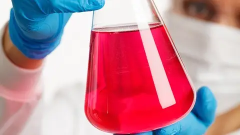 La Unión Europea financiará 15 proyectos españoles de investigación científica La Unión Europea financiará 15 proyectos españoles de investigación científica