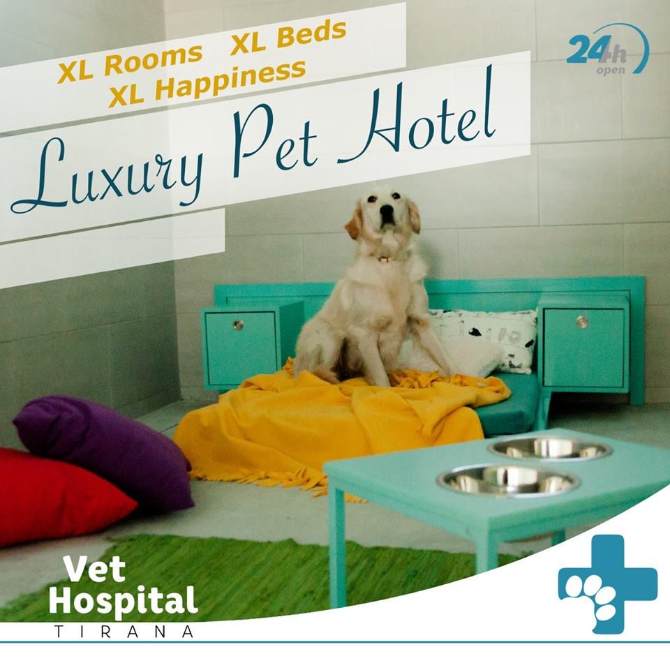 Conocemos el Hospital Veterinario de Tirana en Albania Conocemos el Hospital Veterinario de Tirana en Albania
