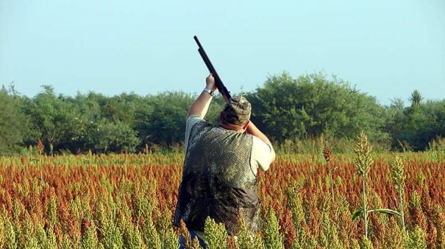 El XI Día del Cazador Extremeño incluirá el IV Concurso de Toque de Caracola en Los Santos de Maimona El XI Día del Cazador Extremeño incluirá el IV Concurso de Toque de Caracola en Los Santos de Maimona