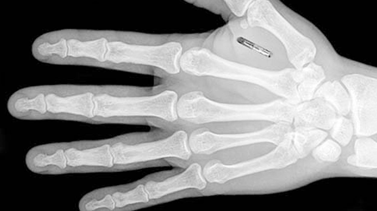 Tertulia Zona Cero: La profecía cumplida, el Gran Hermano está aquí Tertulia Zona Cero: La profecía cumplida, el Gran Hermano está aquí