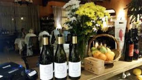 BODEG&Oacute;N GALLERY