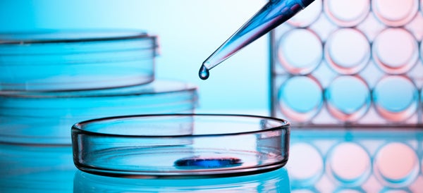 Empiezan a probar la inmunoterapia en tumores cerebrales al comprobar que el cerebro se comunica con el sistema inmune Empiezan a probar la inmunoterapia en tumores cerebrales al comprobar que el cerebro se comunica con el sistema inmune