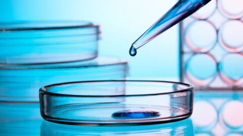 Ensayos en laboratorio, imagen de archivo