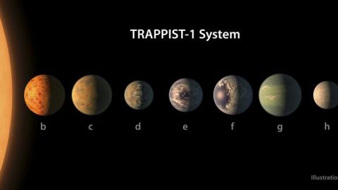 Los siete exoplanetas descubiertos por la NASA