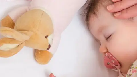 Cabeza plana Cabeza plana