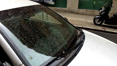 Coche sobre el que ha caído una lluvia de barro Coche sobre el que ha caído una lluvia de barro