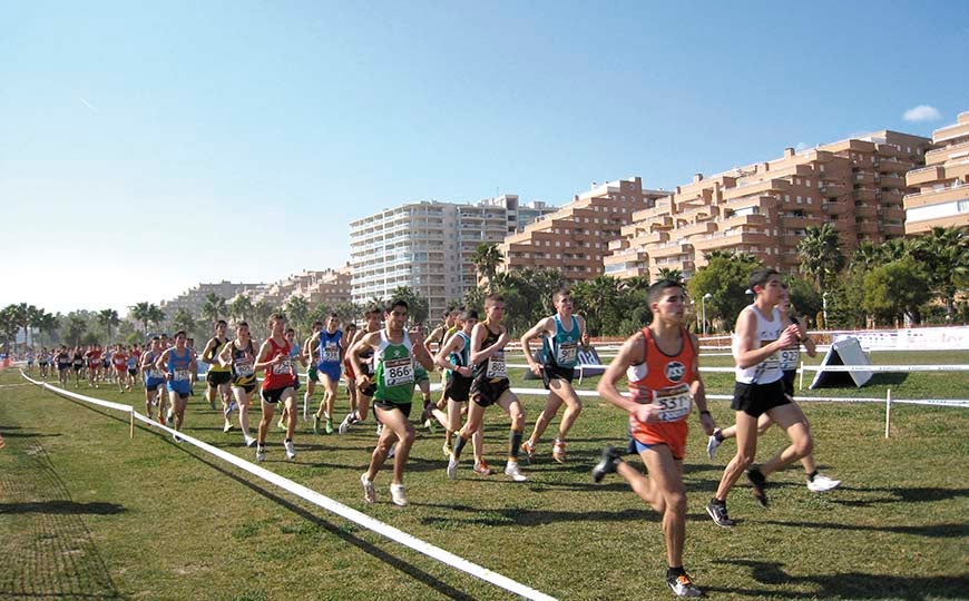 Campeonato de España de cross por clubes Campeonato de España de cross por clubes