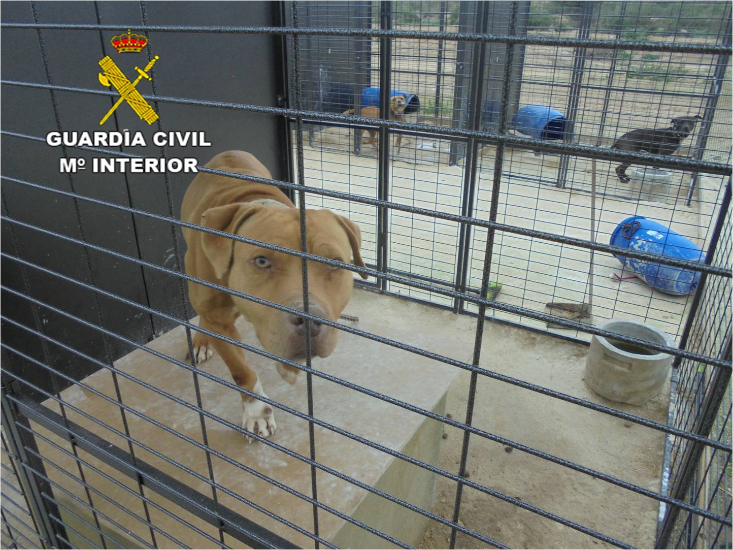 Vigo en la Onda 06/11/2017 Vigo en la Onda 06/11/2017