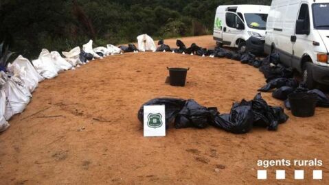 Imagen de los Agentes Rurales con varias de las bolsas con los animales dentro