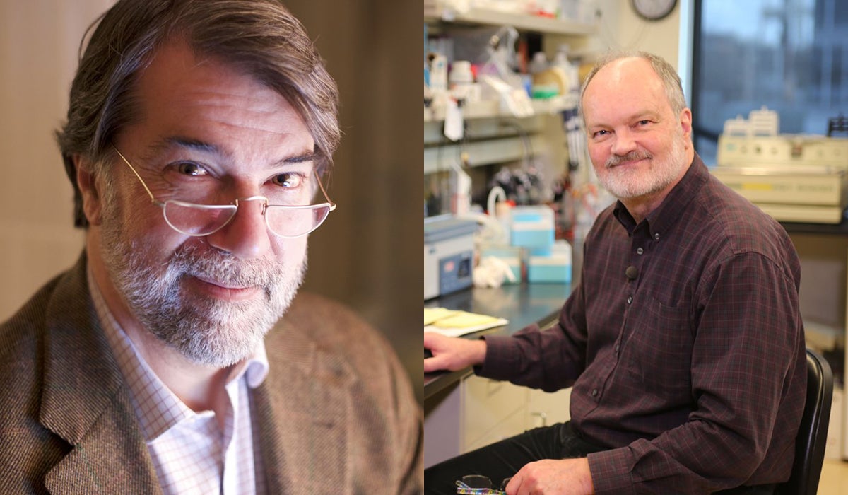 Pedro Alonso y Peter Myler, premios Fundación BBVA en Cooperación por luchar contra la Malaria Pedro Alonso y Peter Myler, premios Fundación BBVA en Cooperación por luchar contra la Malaria