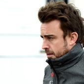 Fernando Alonso