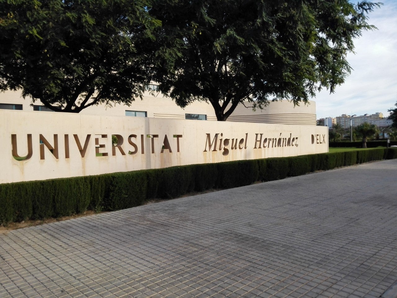 La UMH no detecta plagio en la tesis doctoral de Francisco Camps La UMH no detecta plagio en la tesis doctoral de Francisco Camps