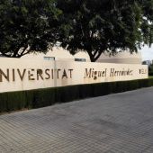 Acceso a la Universidad Miguel Hernández de Elche junto al edificio Rectorado y Consejo Social.