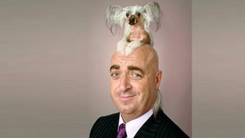 Un perro como peluqu&iacute;n