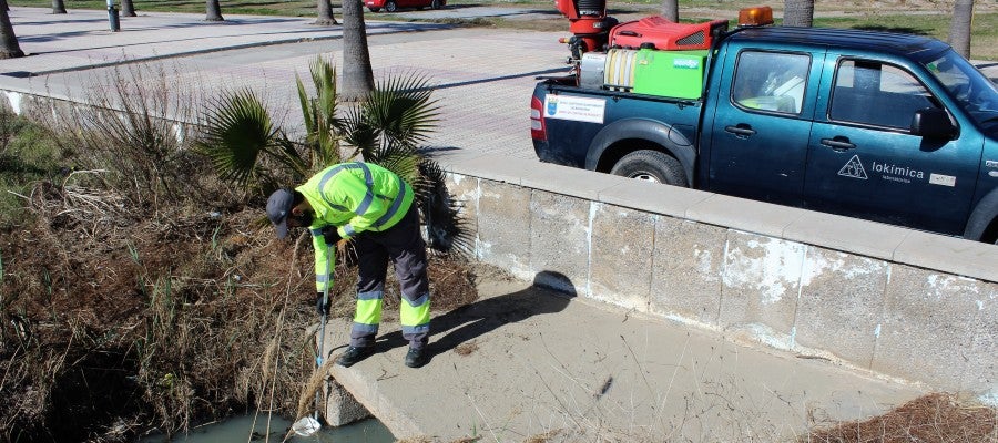 Inexistencia de larvas en los puntos de control codificados dentro del término municipal. Inexistencia de larvas en los puntos de control codificados dentro del término municipal.