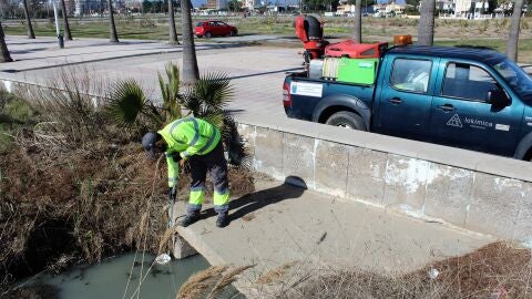 Inexistencia de larvas en los puntos de control codificados dentro del t&eacute;rmino municipal.