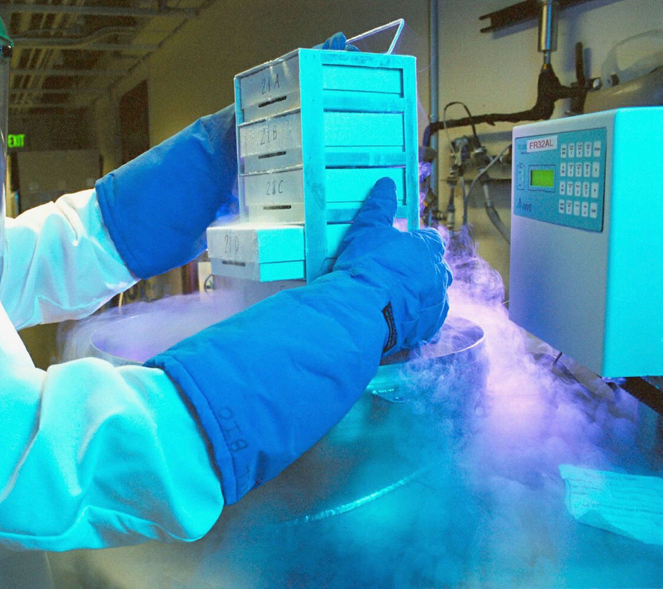 Sanidad prepara un sistema que controla las donaciones para reproducción asistida Sanidad prepara un sistema que controla las donaciones para reproducción asistida