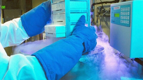 Donaci&oacute;n de &oacute;vulos