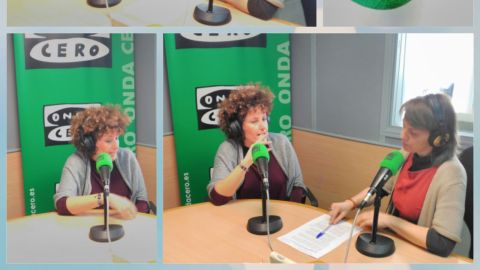 Estudio mercados de abastos de Madrid 