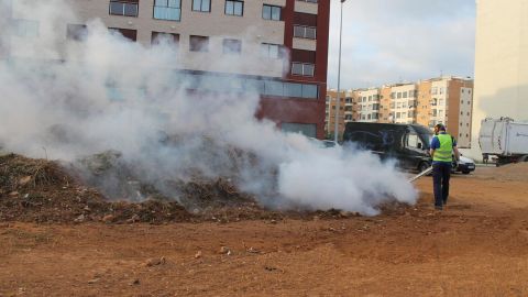 L'Ajuntament de Vila-real iniciar&agrave; dilluns que ve, 13 de mar&ccedil;, el tractament contra els mosquits per a previndre l'aparici&oacute; de plagues este estiu. 