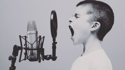 Las cuerdas vocales determinan el sonido de nuestra voz, pero s&oacute;lo hasta cierto punto