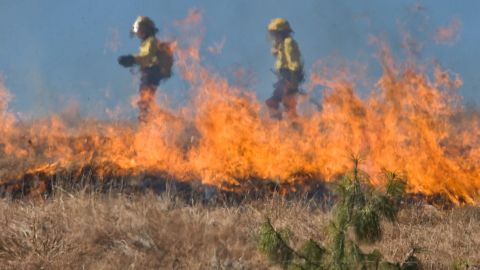 El cambio clim&aacute;tico aumentar&aacute; los incendios forestales en Europa en las pr&oacute;ximas d&eacute;cadas