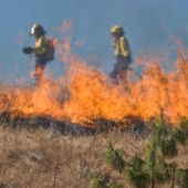 El cambio climático aumentará los incendios forestales en Europa en las próximas décadas